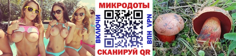 Купить закладки  Павловск  Псилоцибиновые грибы ЛСД 